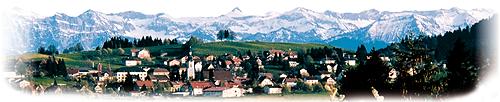 www.scheidegg.de